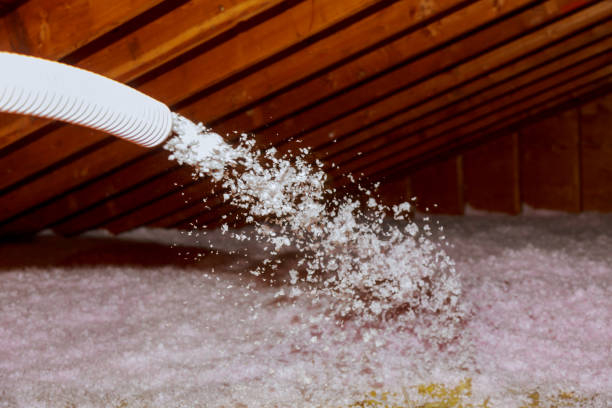 Best Local Insulation Services  in Newton, TX