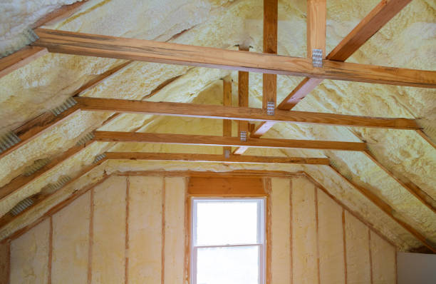 Best Insulation Contractors for Homes  in Newton, TX