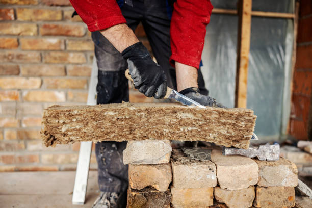 Best Crawl Space Insulation  in Newton, TX