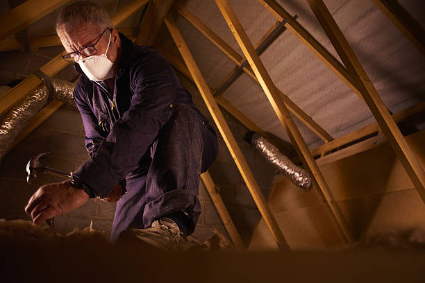 Best Blown-in Insulation  in Newton, TX